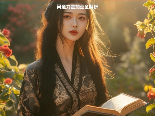 问道力金加点攻略全解