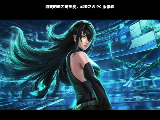 忍者之刃 PC 版，游戏魅力与挑战的体验之旅