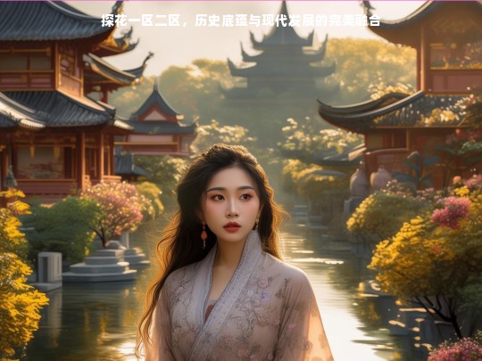 探花一区二区，历史底蕴与现代发展的完美融合