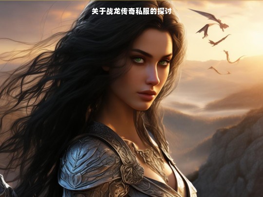 关于战龙传奇私服的探讨