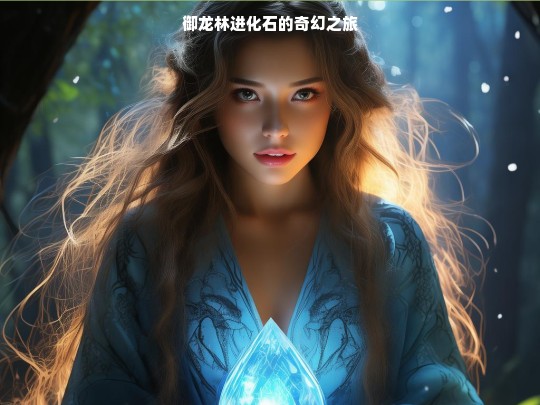御龙林进化石的奇幻旅程