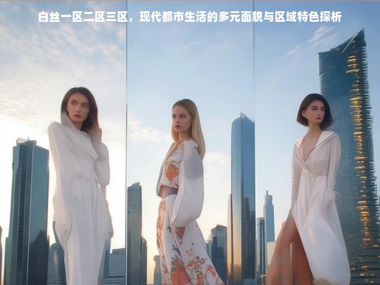 白丝一区二区三区，现代都市生活的多元面貌与区域特色探析
