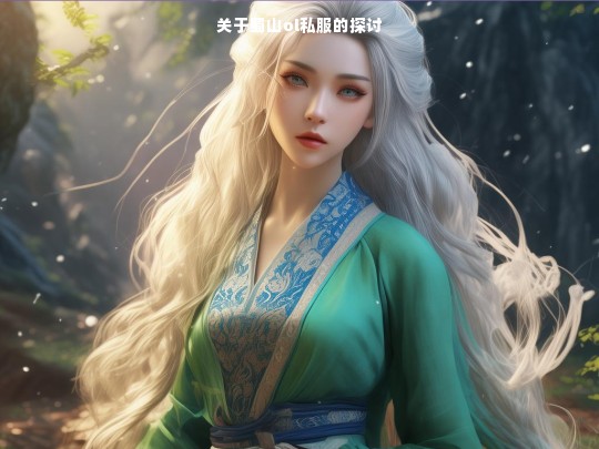 关于蜀山ol私服的探讨