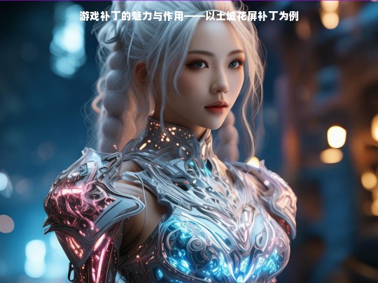 游戏补丁的魅力与作用探究，以土城花屏补丁为例