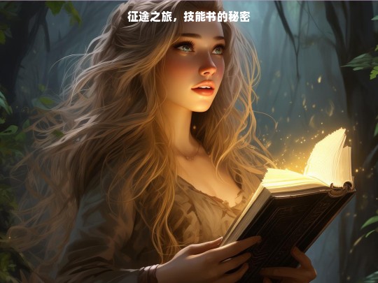 征途之旅与技能书的秘密