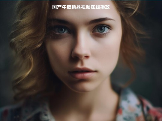 国产午夜精品视频在线播放
