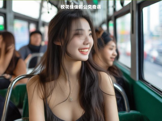 校花佳佳的公交奇遇，一场意外的邂逅