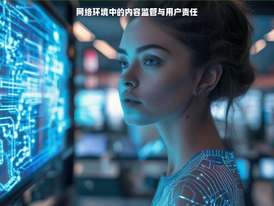 网络环境中的内容监管与用户责任