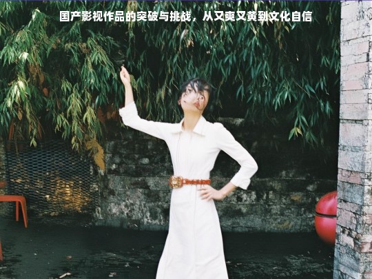 国产影视作品的突破与挑战，从又爽又黄到文化自信
