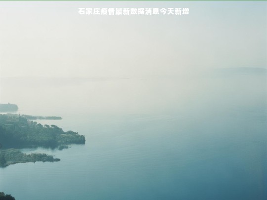 石家庄疫情最新数据消息今天新增