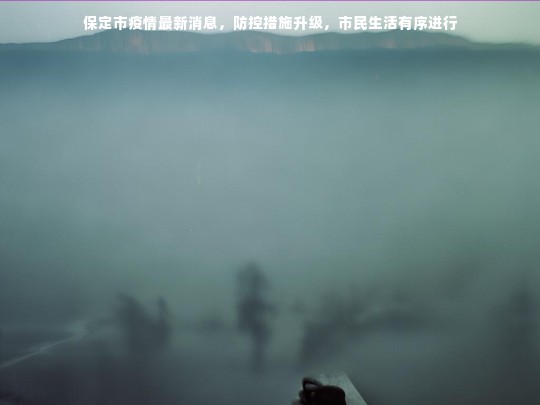 保定市疫情最新消息，防控措施升级，市民生活有序进行