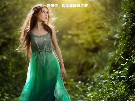 新密传，探索与成长之旅