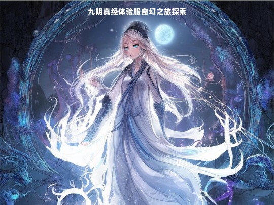 九阴真经体验服奇幻之旅探索