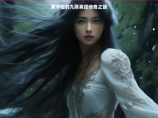 黑水仙的九阴真经传奇之旅