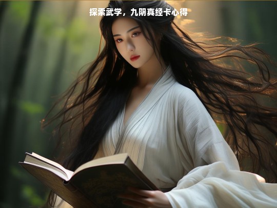 探索武学，九阴真经卡心得