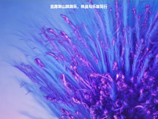 凯席斯山跳跳乐，挑战与乐趣同行