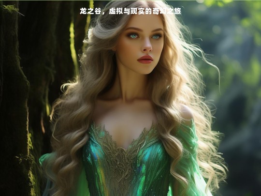 龙之谷，虚拟与现实的奇幻之旅