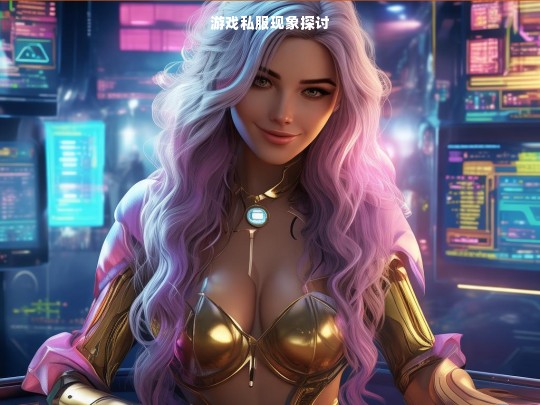 游戏私服现象探讨