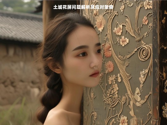 土城花屏问题解析及应对策略