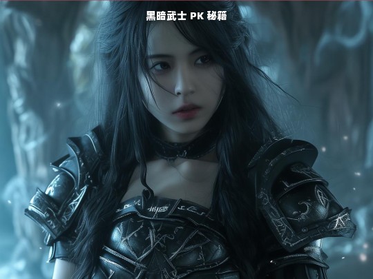 黑暗武士 PK 秘籍