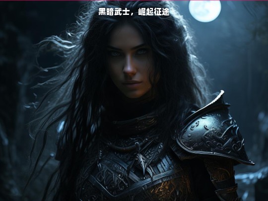 黑暗武士，崛起征途