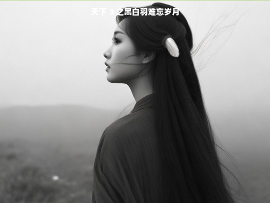 天下 3 之黑白羽难忘岁月