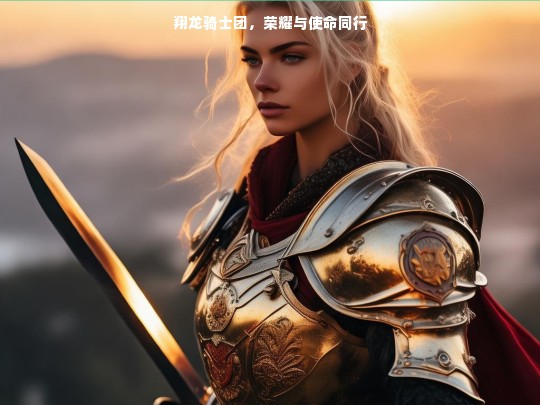 翔龙骑士团，荣耀与使命同行