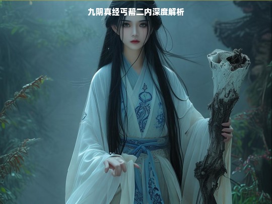 九阴真经丐帮二内深度解析