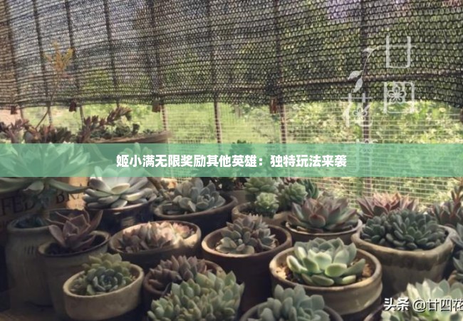 姬小满无限奖励其他英雄：独特玩法来袭