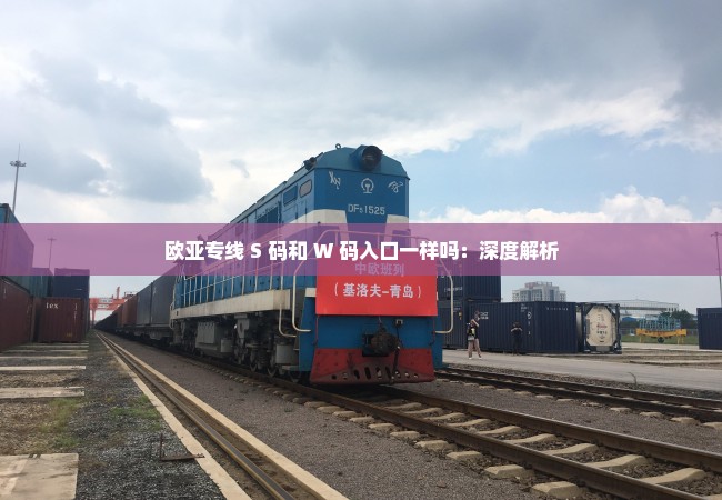 欧亚专线 S 码和 W 码入口一样吗：深度解析