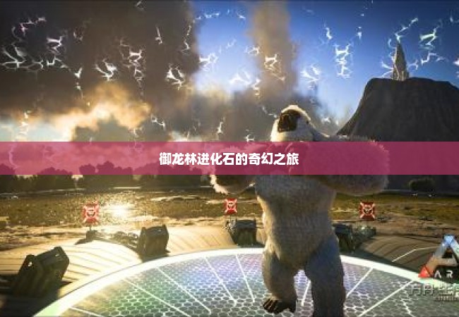 御龙林进化石的奇幻之旅