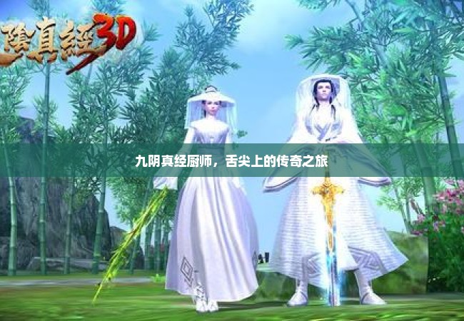 九阴真经厨师，舌尖上的传奇之旅