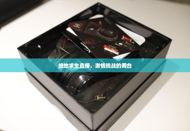 绝地求生直播，激情挑战的舞台
