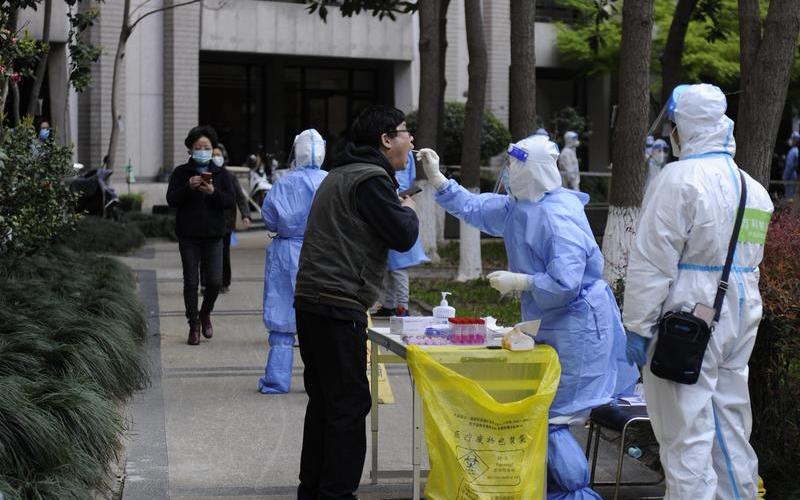 疫情上海老两口澄清、上海老两口行动轨迹，上海普陀区疫情分布图
