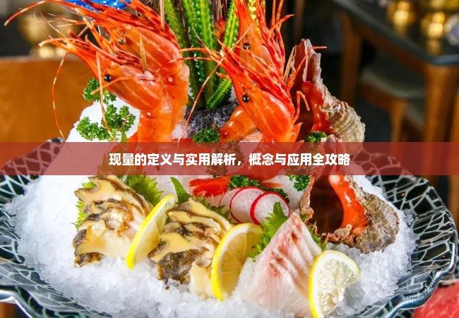 现量的定义与实用解析，概念与应用全攻略