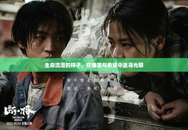 生命流泪的样子，在痛苦与希望中追寻光明