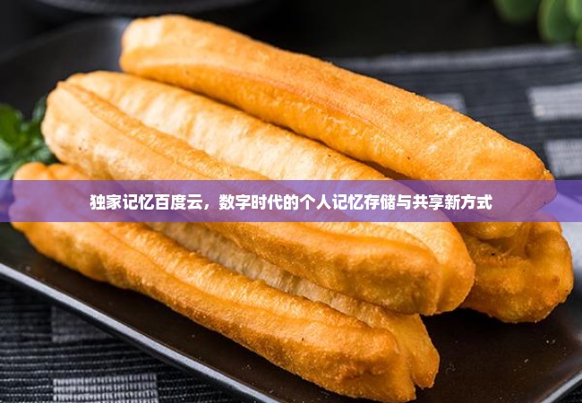 独家记忆百度云，数字时代的个人记忆存储与共享新方式
