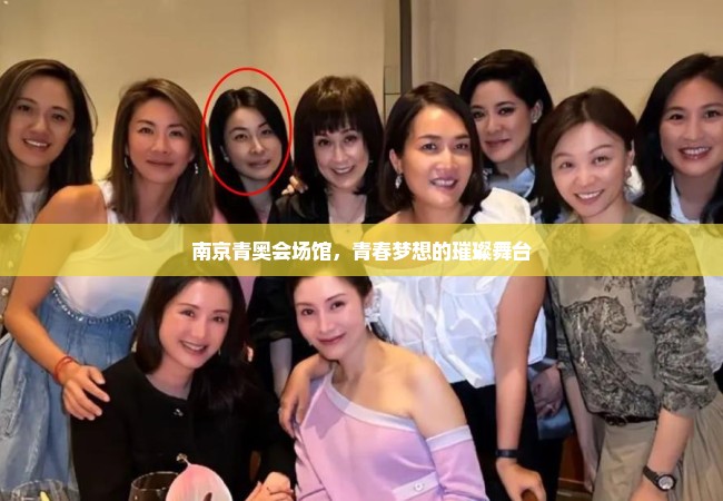 南京青奥会场馆，青春梦想的璀璨舞台