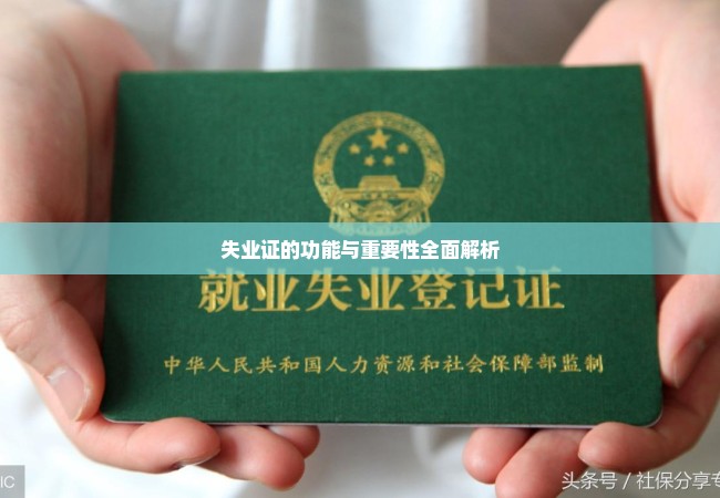 失业证的功能与重要性全面解析