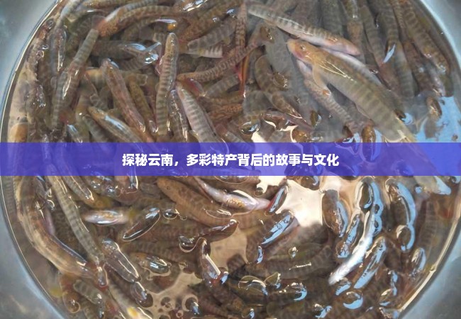 探秘云南，多彩特产背后的故事与文化