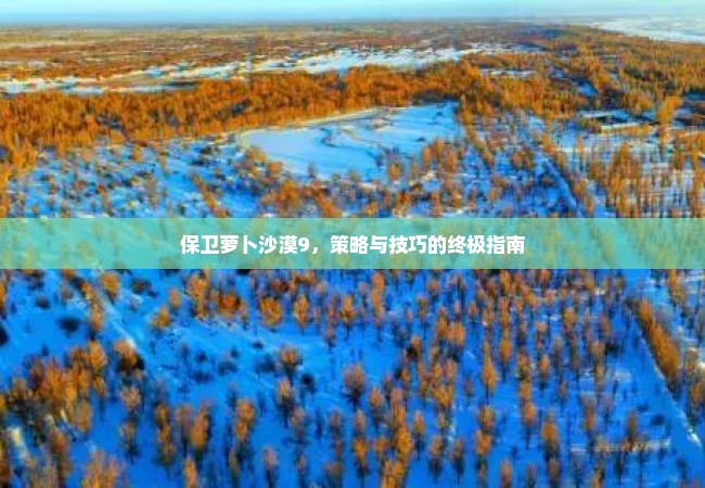 保卫萝卜沙漠9，策略与技巧的终极指南