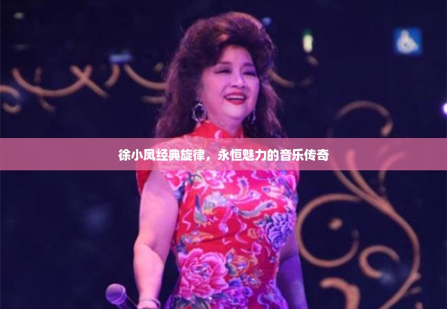 徐小凤经典旋律，永恒魅力的音乐传奇