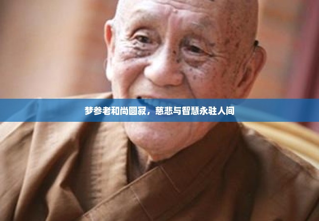 梦参老和尚圆寂，慈悲与智慧永驻人间