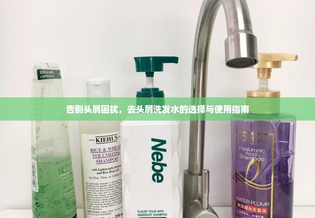 告别头屑困扰，去头屑洗发水的选择与使用指南