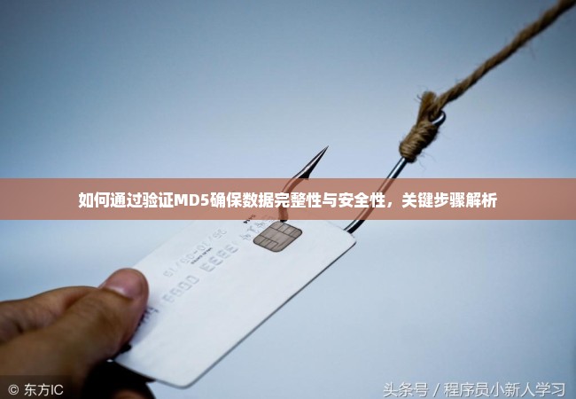 如何通过验证MD5确保数据完整性与安全性，关键步骤解析