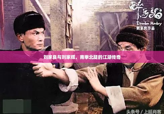刘家良与刘家辉，南拳北腿的江湖传奇