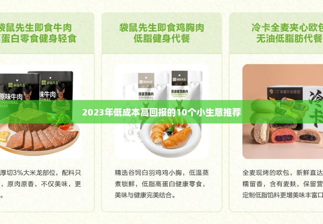 2023年低成本高回报的10个小生意推荐