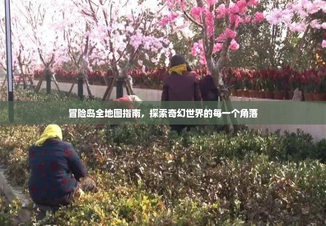 冒险岛全地图指南，探索奇幻世界的每一个角落