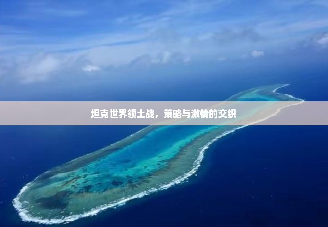 坦克世界领土战，策略与激情的交织
