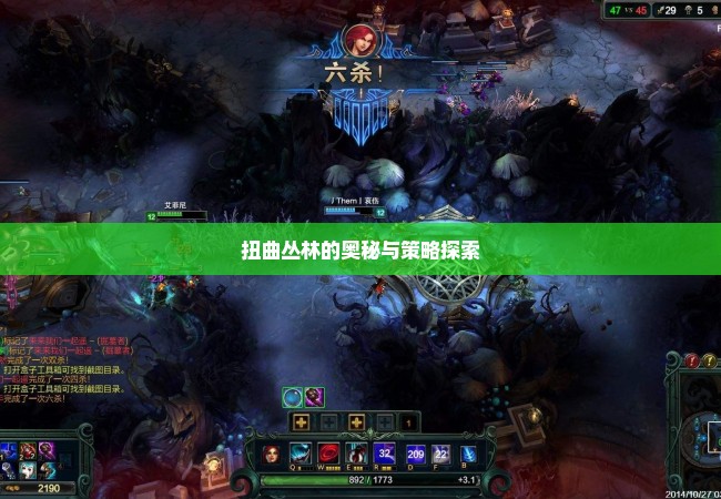 扭曲丛林的奥秘与策略探索